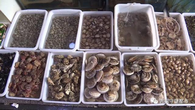 长春市海鲜批发加工市场,长春水产海鲜批发市场