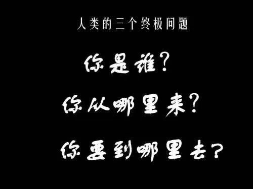 忙是治疗一切神经病的良药英文,忙是治疗一切神经病的良药下一句