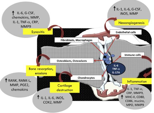 银屑病不是基因问题可以治愈吗,银屑病属不属于牛皮癣