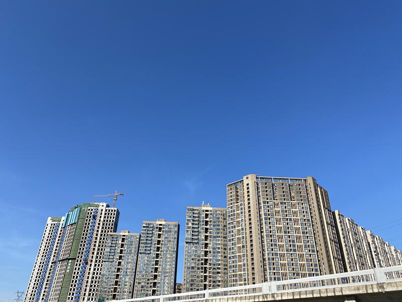 刷屏了！这样的开福蓝，请给我来一打