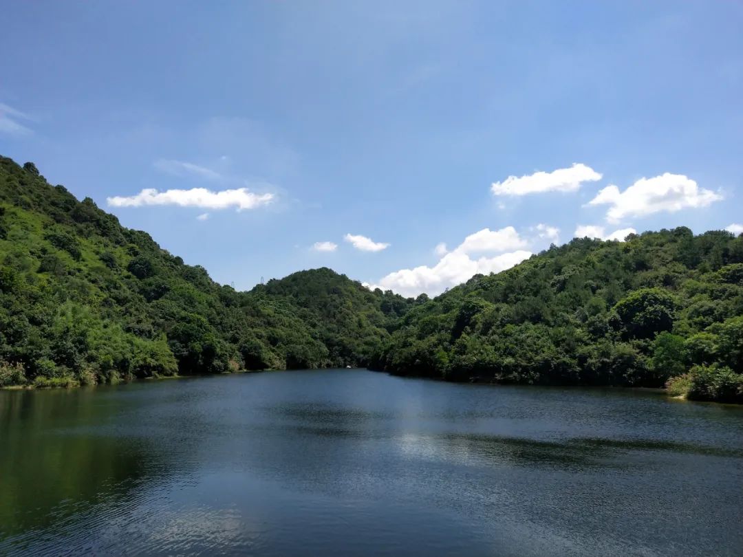 刷屏了！这样的开福蓝，请给我来一打