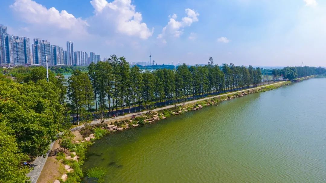 湖北最美环湖绿道徒步,十大最美绿道骑行