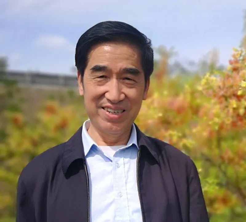 有藕的是莲花还是荷花,荷花与莲花的区别讲座