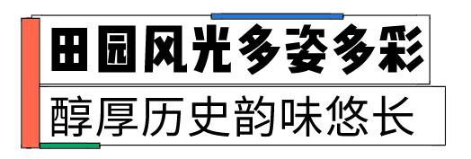 多彩新区|贵平，在那桃花盛开的地方！
