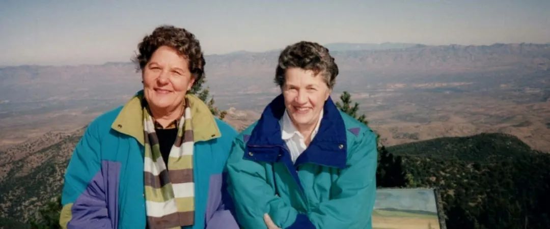 豆瓣分9.1分,豆瓣9.1高分催泪