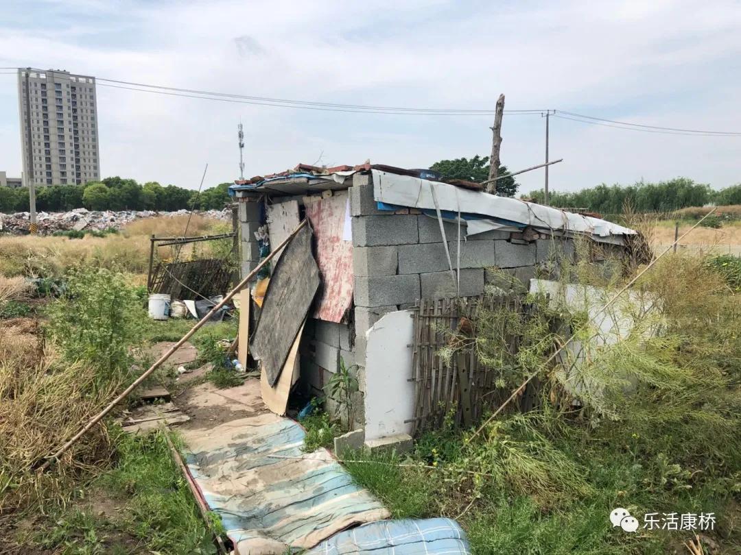 康桥镇学生日记,康桥日记内容