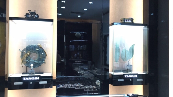 瑞士天珺皮表带,瑞士天珺表logo图片