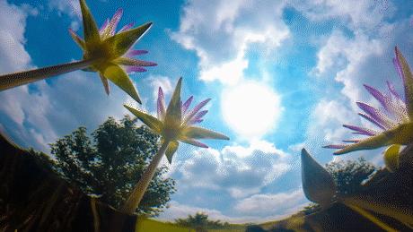 快收好！端午小长假期间，上海各大景点备下超丰富出游盛宴！你可能正需要这份贴心假期玩乐指南