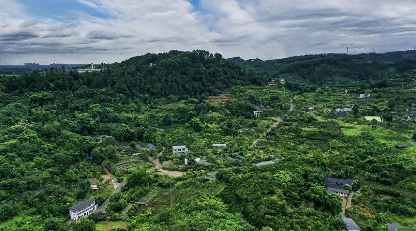 火了火了！成都又新添一个区，地铁10号线直达！夏日纳凉、吃河鲜…3日郊游路线，安排→