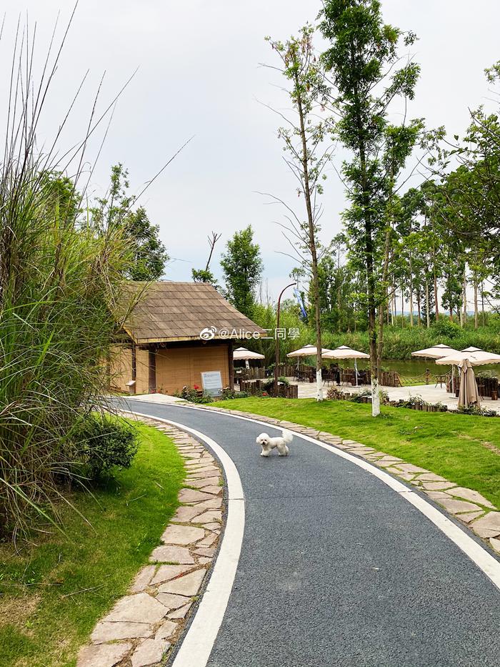 火了火了！成都又新添一个区，地铁10号线直达！夏日纳凉、吃河鲜…3日郊游路线，安排→