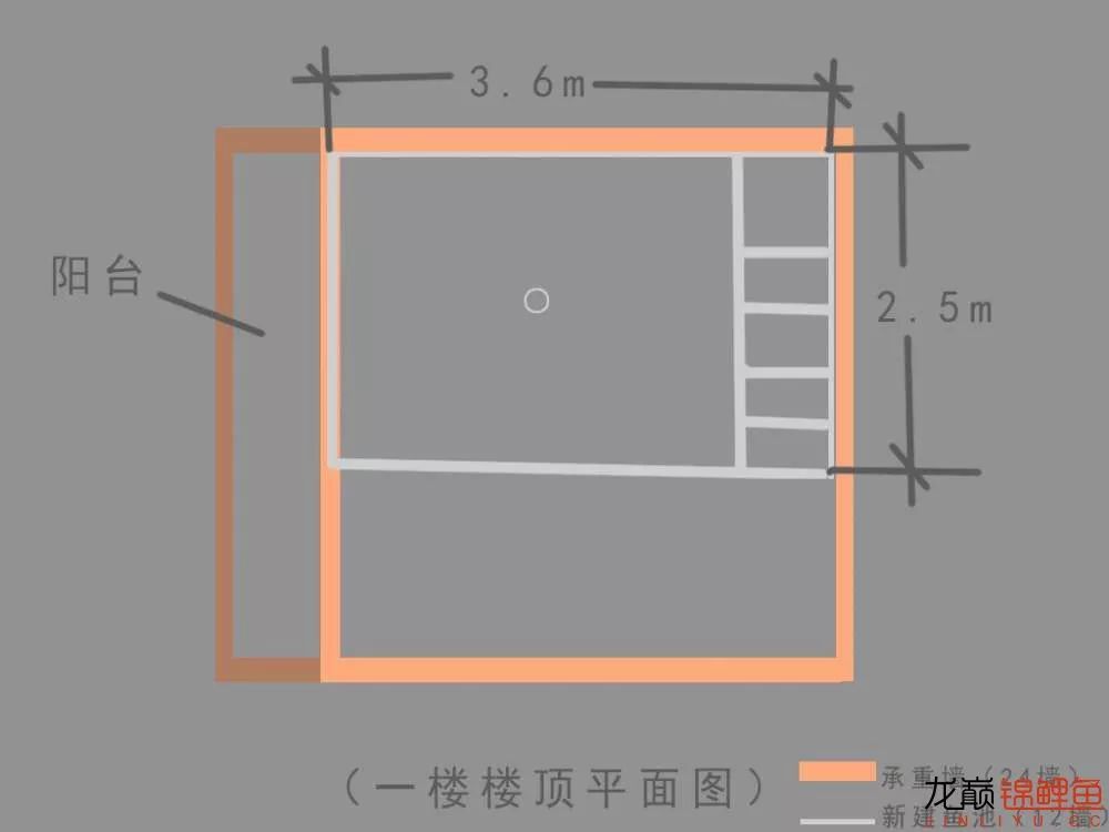 锦鲤池建造施工过程,楼顶怎么施工建锦鲤池