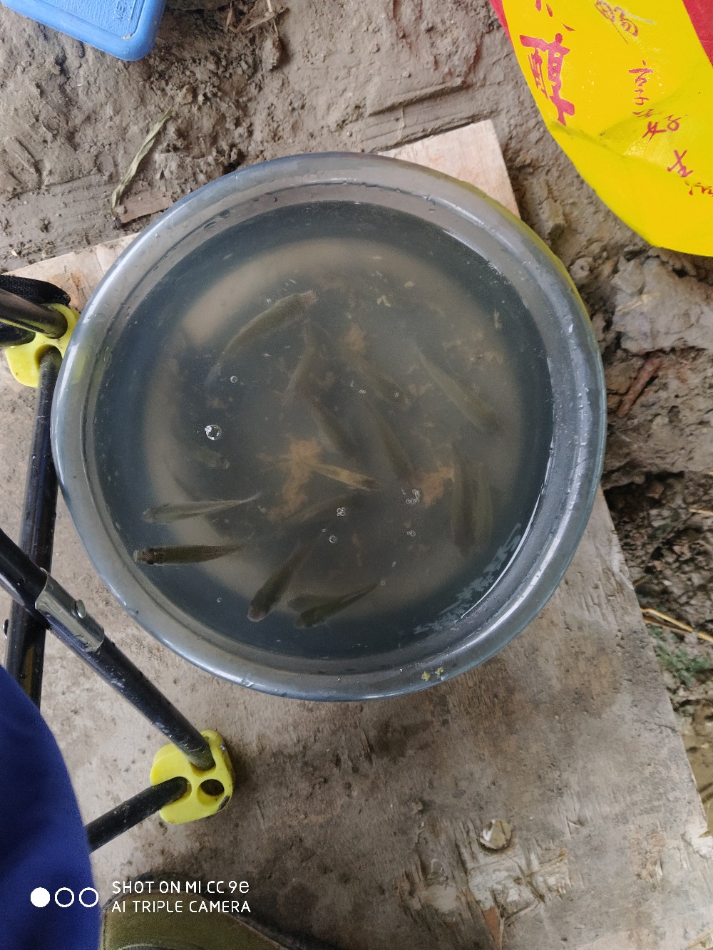 小鱼闹窝最佳处理方法,小鱼闹窝最简单的解决办法