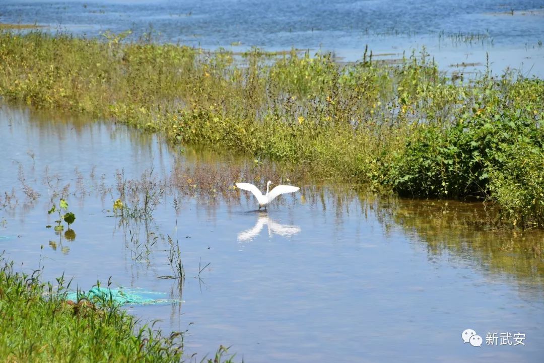 优秀！奖励1600万元！武安工业园区喜提全省县级第一