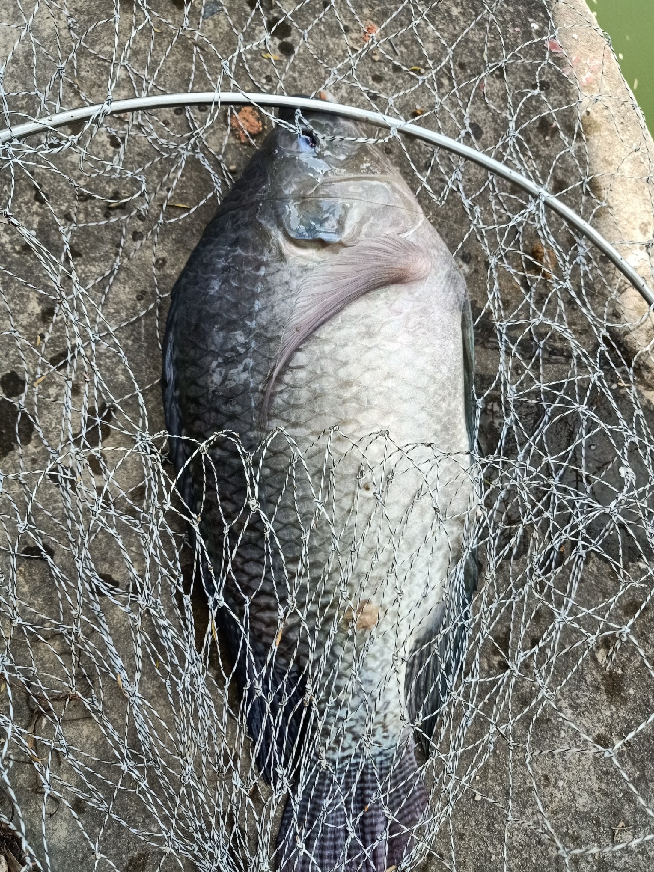 开局即是巅峰第6集,开局即巅峰完整版