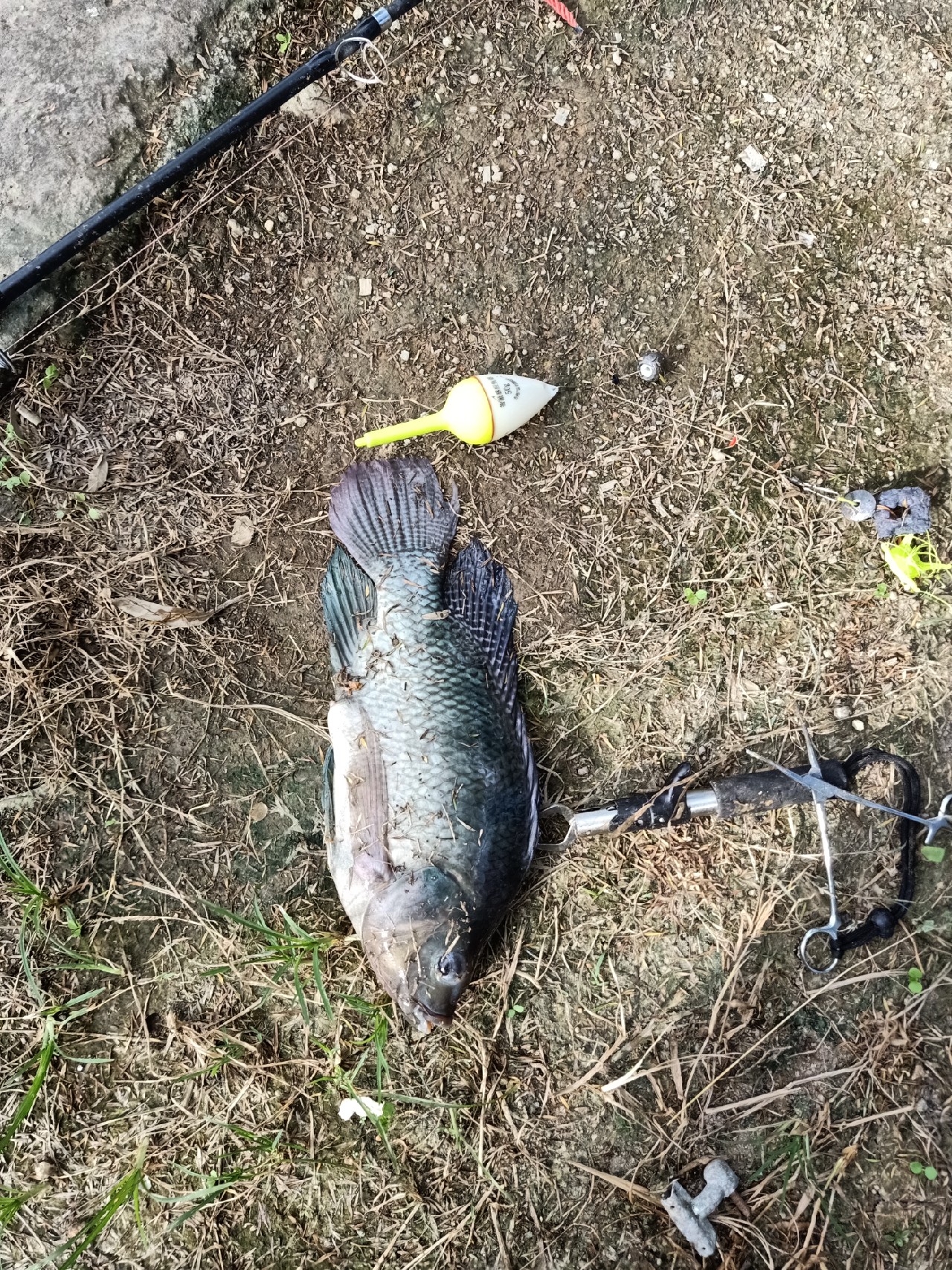 开局即是巅峰第6集,开局即巅峰完整版