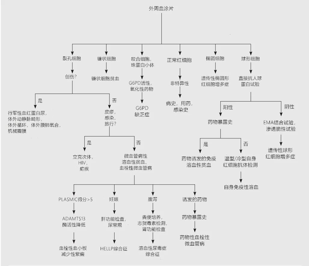 怎么鉴别溶血nse升高,溶血三种类型