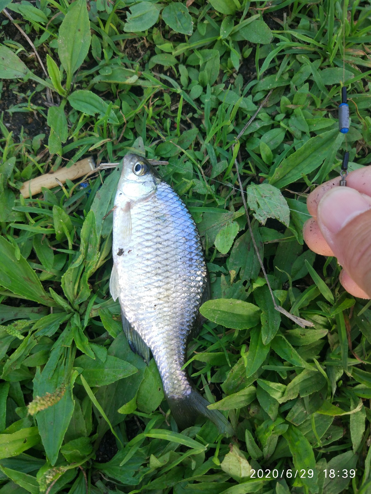春季雨后初晴钓鱼钓深还是钓浅,雨后钓鱼情况