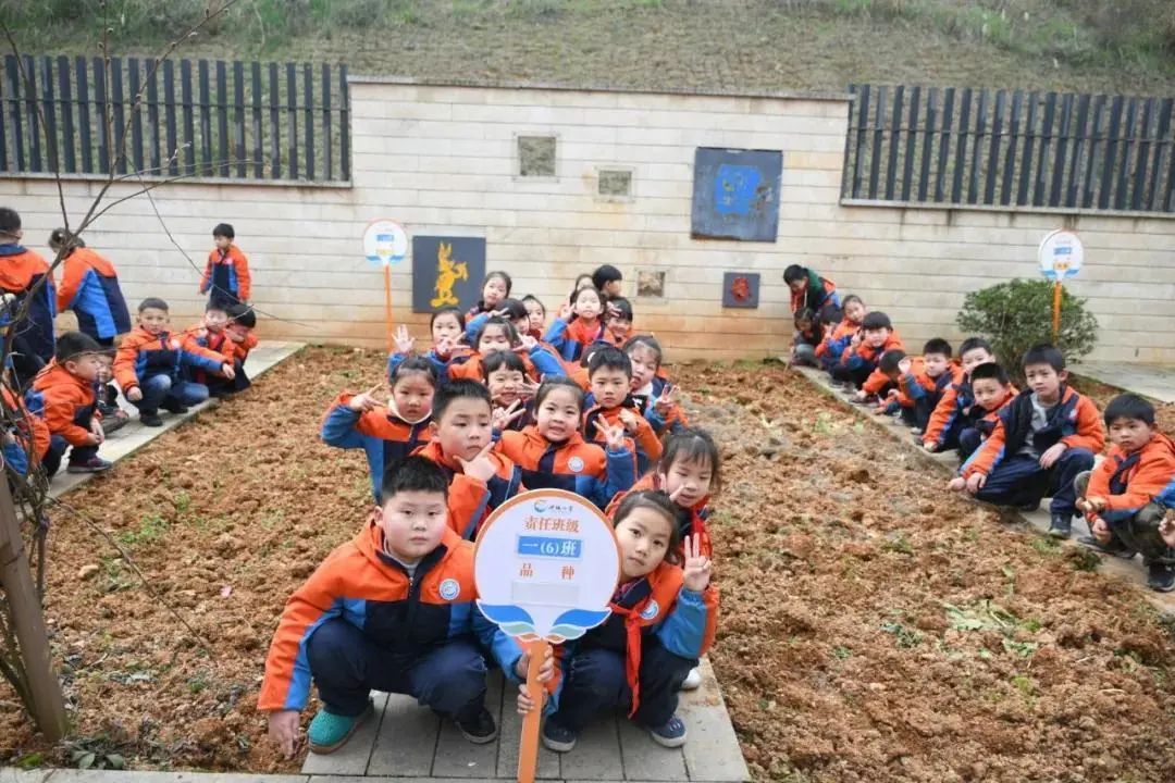 湖南怀化文华学校,怀化文化旅游高校