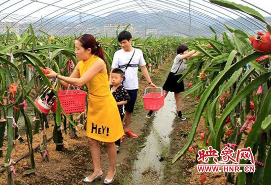 河南源色生态农业公司非法集资案,河南源色生态农业有限公司