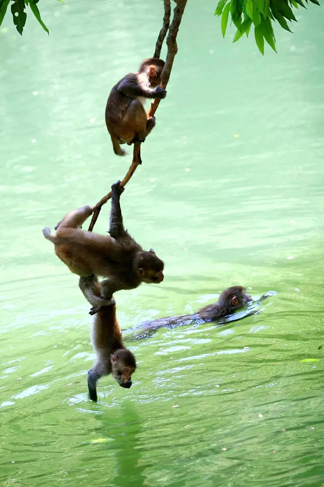 南宁附近最适合游泳避暑的地方,南宁夏天有哪些避暑的地方