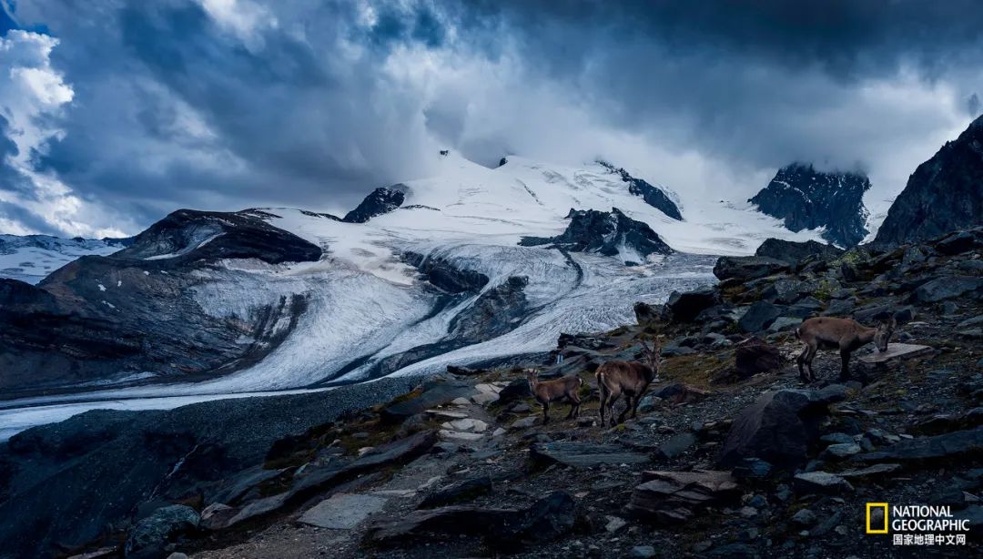 阿尔卑斯自行车雪崩,阿尔卑斯山历史事件