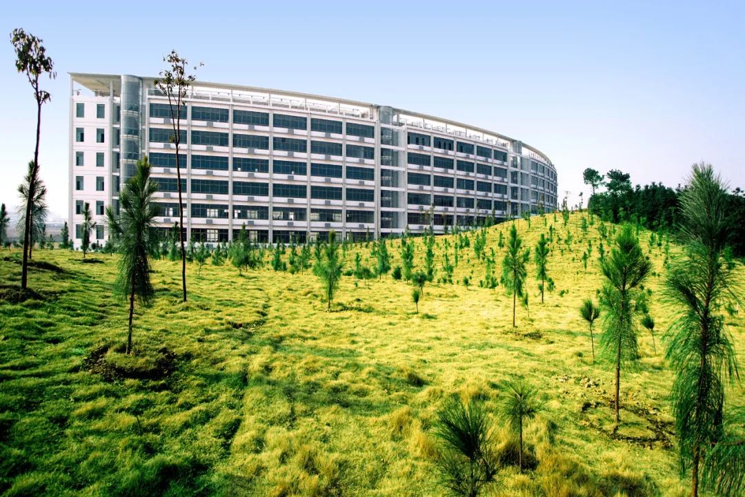 20个爱上自己的理由,100个理由爱上紫砂