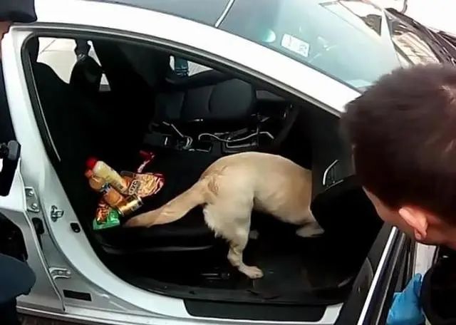 51岁女毒贩落网后续,51岁女毒枭留下1岁半女儿