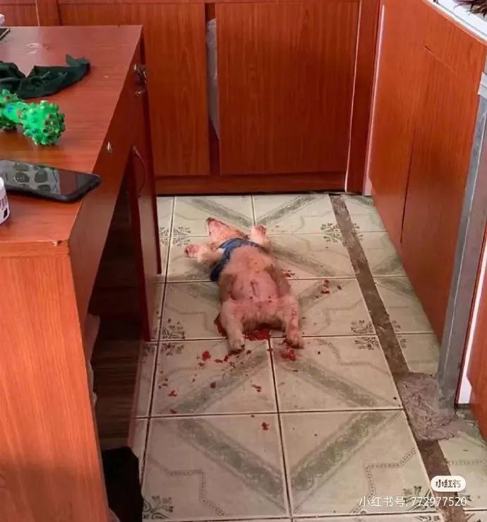 人喝醉之后到底有多搞笑,盘点喝醉的人有多搞笑