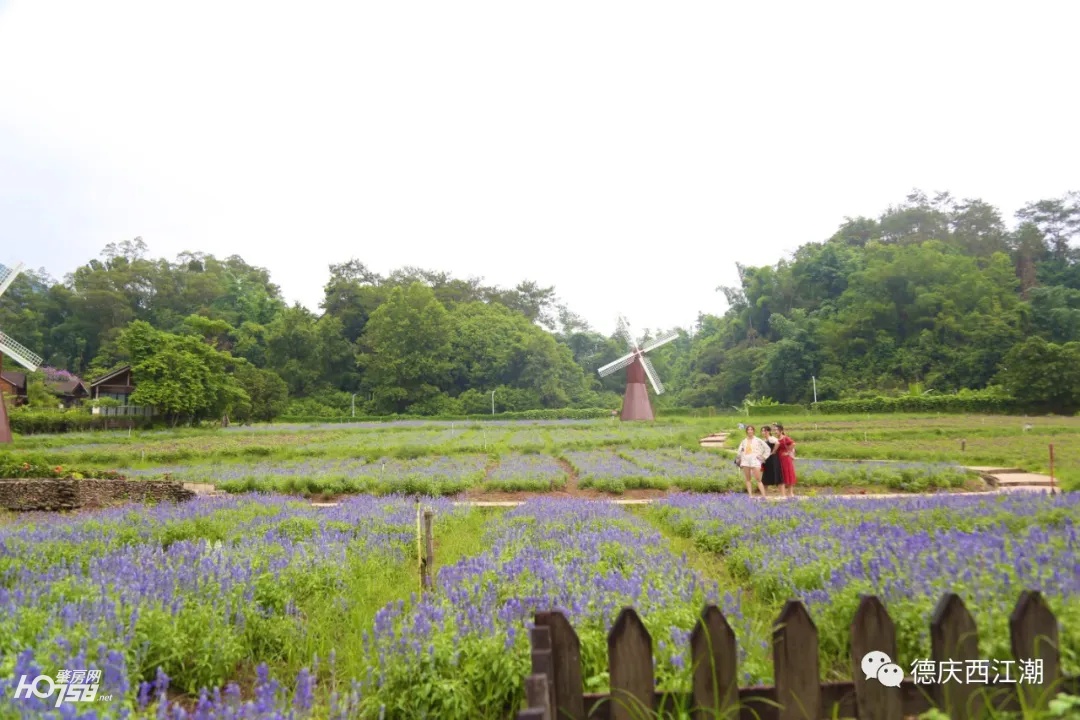 德庆盘龙峡最新视频,德庆县盘龙峡全景图