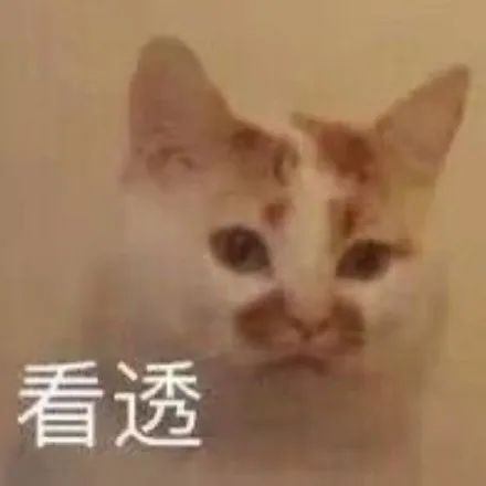 cosme下半年大赏2023,cosme大赏前三评测