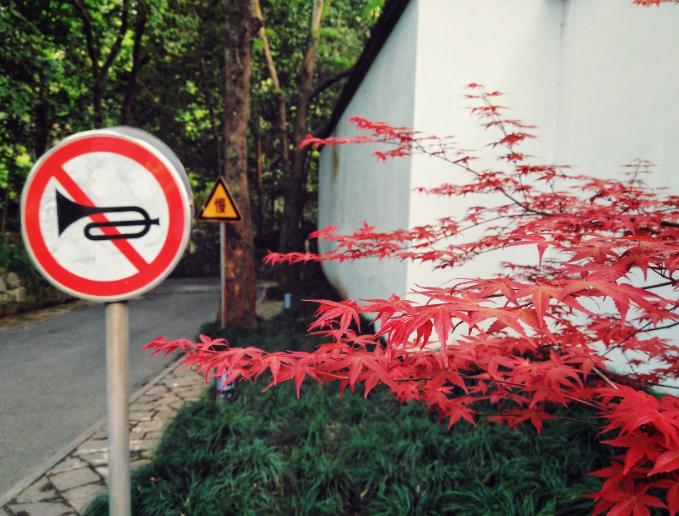 灵隐寺招人火爆热搜，不用出家！当初入职90后小伙再度走红：一年半瘦20斤，8小时上班制，KPI随缘