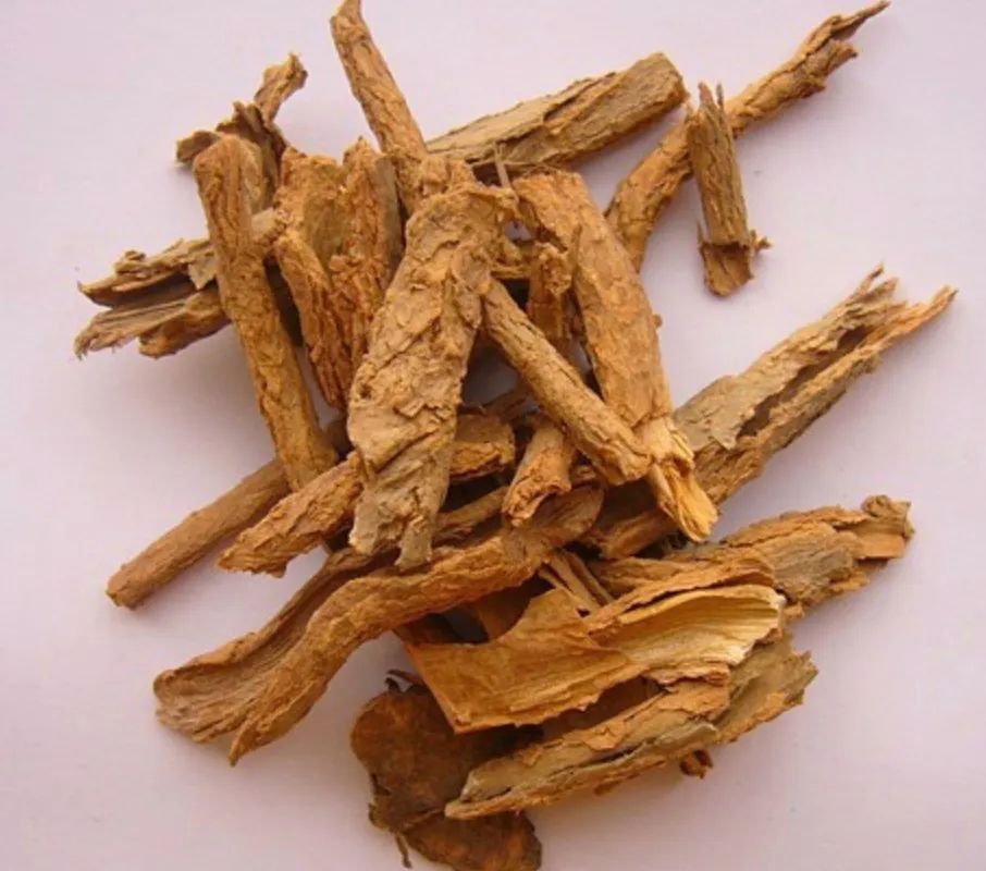 中药地骨皮是治啥的,地骨皮治什么病最有效