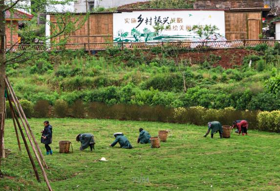竹山旅游线路大全,竹山周边一日游旅游景点推荐