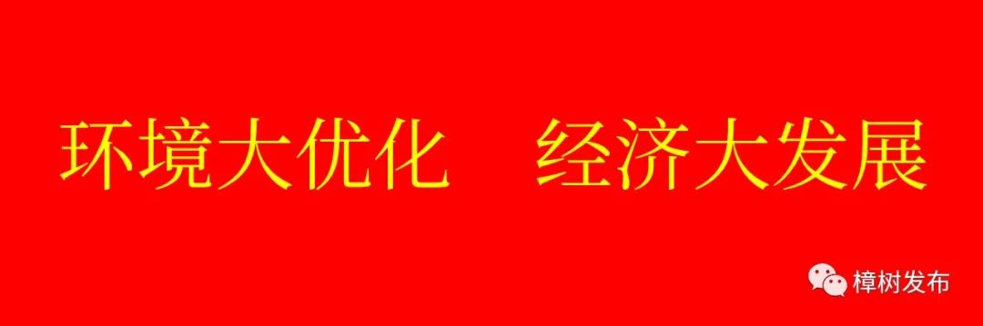 好消息专家义诊,中医馆惊艳亮相名老中医免费义诊