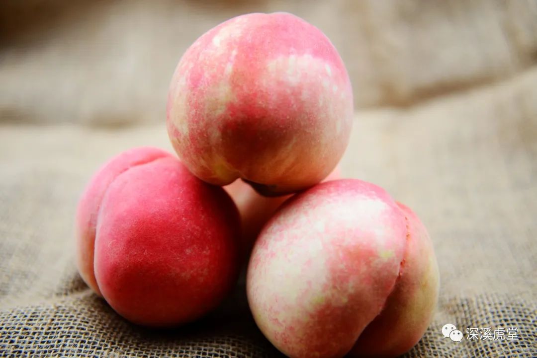 一颗水蜜桃,一颗水蜜桃糖可以做什么