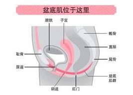 【体育保健康复委员会】束腰？还是健身届的“裹脚布”？