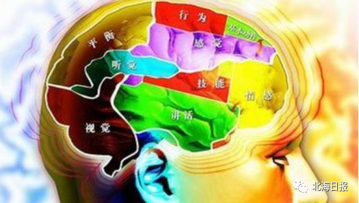 预告|博士大讲堂第十三期：工学博士张钺为你揭秘“大脑的那些事”