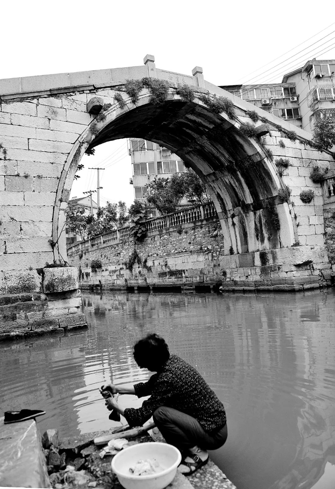 邹逸麟,江南大桥邹逸麟