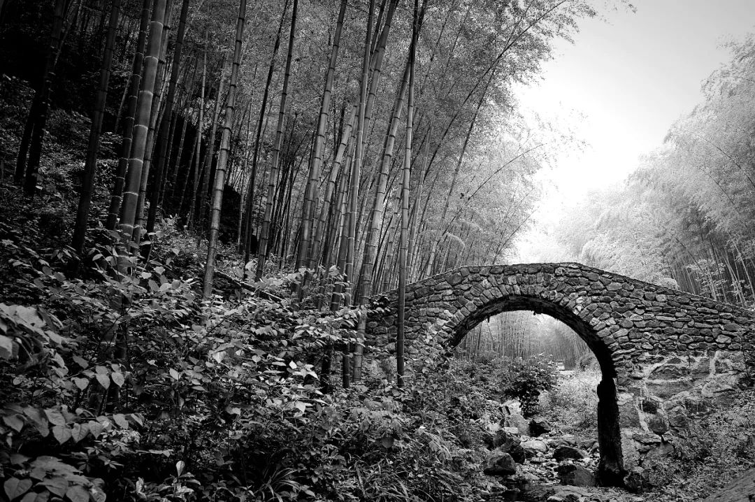 邹逸麟,江南大桥邹逸麟