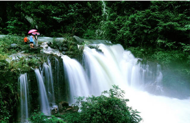 井冈山星星之火可以燎原,井冈山红米和云南红米