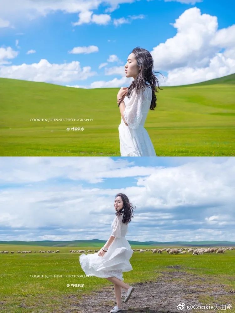 世界草原野奢帐篷酒店,为什么有人愿意住民宿