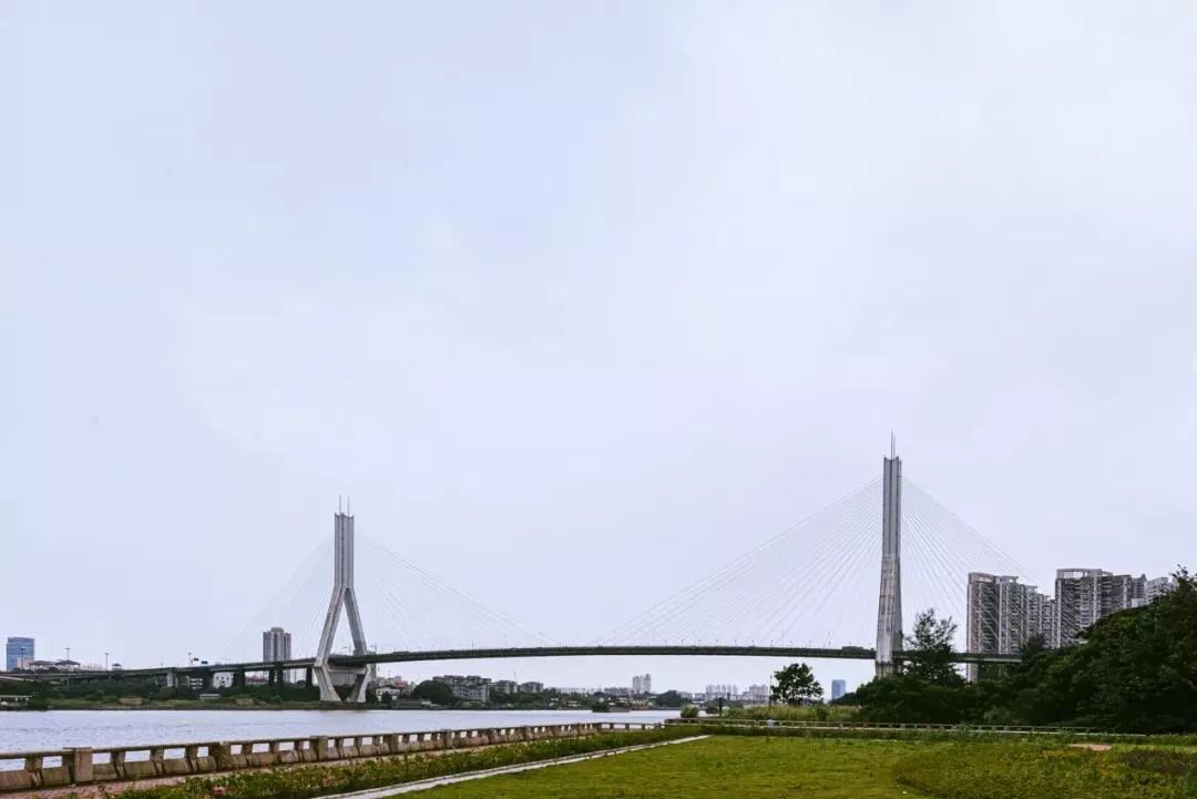 “花鸟鱼虫”、“白鹤成仙”......荔湾这些地名背后的故事你知道吗？