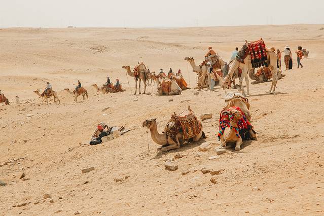 手绘埃及沙与海中的奇迹，我的流浪者之歌