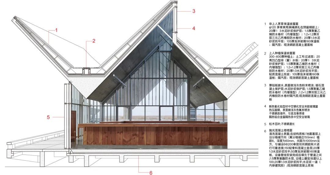 探索崇明东滩湿地公园的奥秘,崇明东滩湿地科研中心