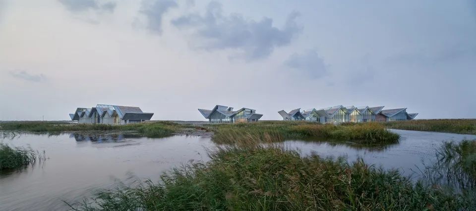 探索崇明东滩湿地公园的奥秘,崇明东滩湿地科研中心