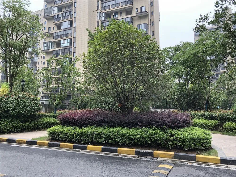 双学区，地铁近，配套全，这个网红小区交付两年却仅涨4000元/㎡