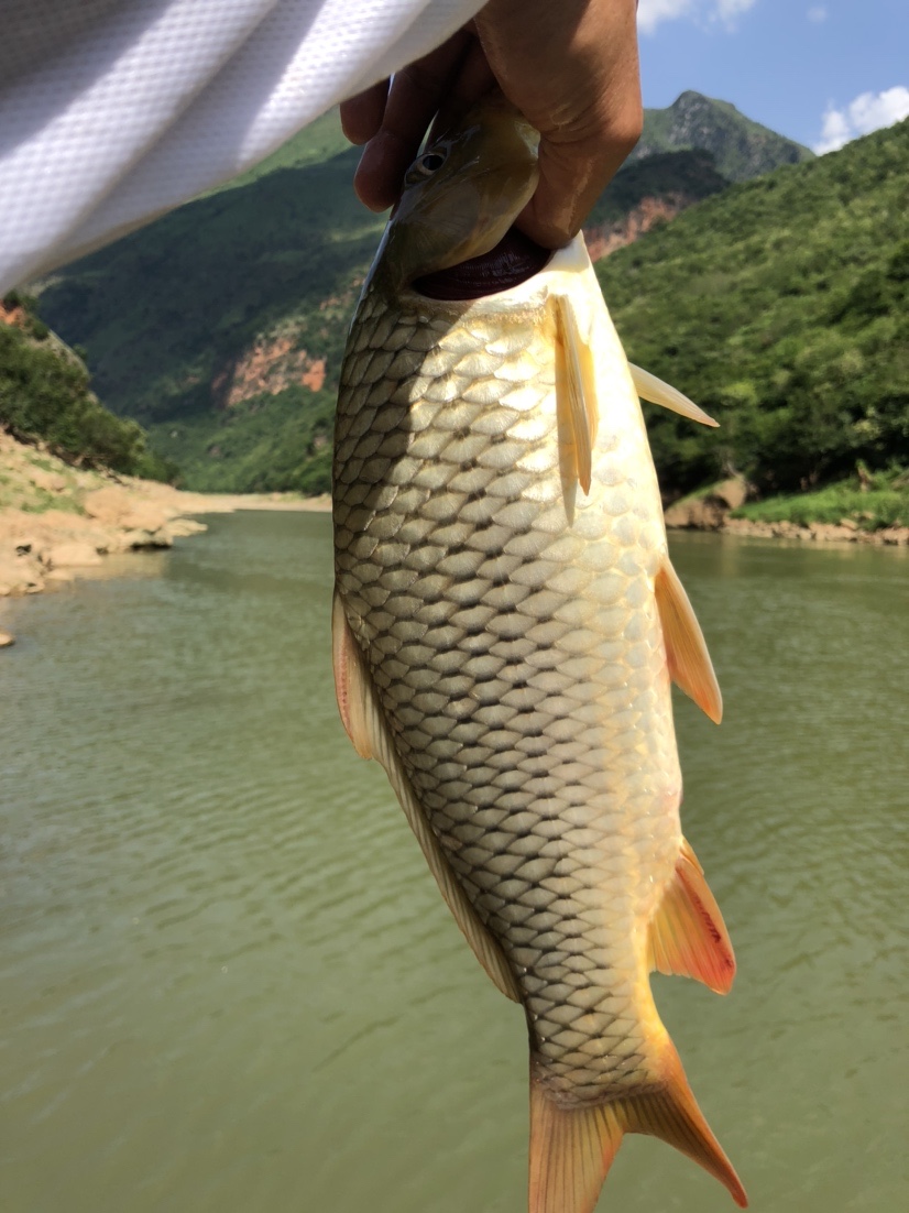 雷打滩水电站钓棚图片,雷打滩水电站钓鱼棚电话