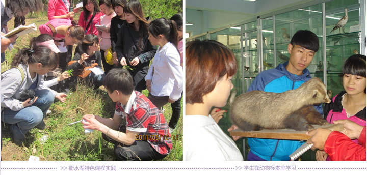 衡水学院生命科学学院实习,衡水学院生命科学学院院长