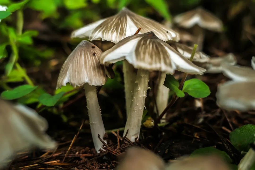 云南人在这件事上,命比谁都硬