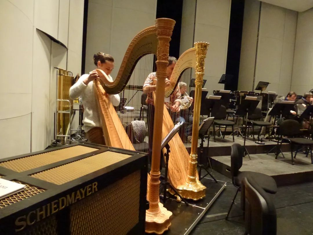 乐器怎么发货,怎么空运乐器到澳门